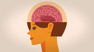 La esclerosis múltiple es una enfermedad del cerebro y la médula espinal (sistema nervioso central) que puede provocar discapacidad. Entendiendo La Esclerosis Multiple Youtube