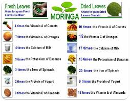Image Result For Benefits Of Moringa Chart Moringa Leaf