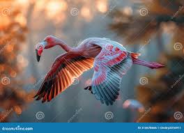Flock of Flamingos Taking Flight. Stock Illustration - Illustration of  cheetah, antelope: 314678666