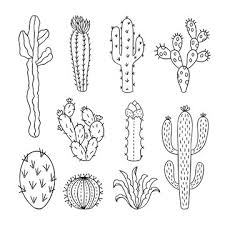 I've also included the cacti in black and white. 15 673 Best Cactus Outline Images Stock Photos Vectors Adobe Stock