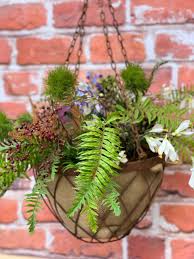 Maybe you would like to learn more about one of these? Hanging Basket 30cm 60cm Sproutwell Decor