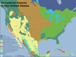 Biomes In The United States Map Viewing Biodiversity Through The Ecoregional Lens Ecowest Biodiversity Biomes Life Map