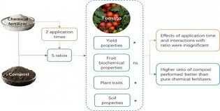 Fermented fruit juice, also known as ffj, acts as an organic fertilizer for plants and gardens. Sustainability Free Full Text The Effects Of Fertilizer Type And Application Time On Soil Properties Plant Traits Yield And Quality Of Tomato Html