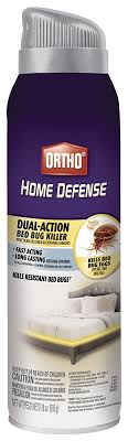 Spray bugs and eggs directly wherever possible. Pin On Cleaning