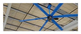 Check out our ceiling fan selection for the very best in unique or custom, handmade pieces from our fixtures shops. Https Encrypted Tbn0 Gstatic Com Images Q Tbn And9gcs2jnne5e11knwoxn4msvpwfss2s2a Ibczww Usqp Cau