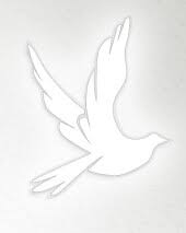 Monica Renee Miller Obituary September 14, 2019