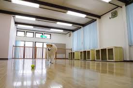 五色 湖 ロッジ