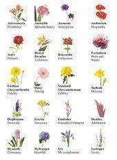 Maybe you would like to learn more about one of these? Arten Baby Names Unique Uncommon Blume Blumen Der Sprache Verschiedene Von Arten Von Blum Types Of Flowers Flowers Name List Different Types Of Flowers