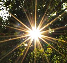 Video version of this content. 7 Ways To Celebrate Litha The Summer Solstice Kajora Lovely