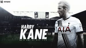We've gathered more than 5 million images uploaded by our users and sorted them by the most popular ones. Harry Edward Kane Hd Wallpaper Background Image 1920x1080