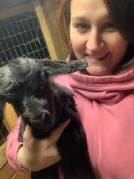 BAAAAHD BEHAVIOR: The goat named Billy was being a little rowdy... DETAILS:  https://bit.ly/3DnToWK