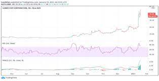 Price as of august 11, 2021, 4:00 p.m. Gamestop Gme Stock Price And Forecast This Is A Fun Game