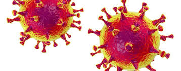 Bildergebnis für coronavirus