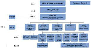 Nmetlc Organization Chart Download Scientific Diagram