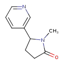 Image result for Pseudoeriosema borianii