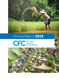 Subsequent investments can be made with a minimum of rm 100. Annual Report Common Fund For Commodities 2019 By Symsign Issuu