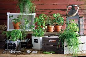 Gardening can be extremely enjoyable for people of all ages and different walks of life. Herb Gardening 101 How To Grow Your Own Herb Garden