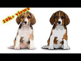 Photoshop Tutorial Cartoon Effect On Pet Portrait Filter Effect On Dog Portrait Youtube Dog Caricature Cartoon Dogs Dog Portraits