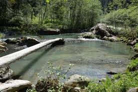 Location port hadlock, wa 98339. Sultan River Canyon Trail Washington Trails Association