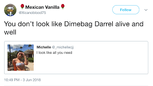 Dimebag Darrell I Look Like All You Need Know Your Meme