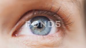 Extreme Close Up Of Eye Opening And Closing As Man Looks At Camera In Studio Stock Footage Ad Opening Closing Eye Ext Extreme Close Up Eye Close Up Close Up