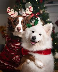 CUZ SOMEONE NEEDS TO SEE THIS TODAY… ANGELS. THEY ARE ALL ANGELS. >>>