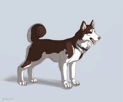 Husky Dog By Flashw On Deviantart A husky is a sled dog used in the polar regions. husky dog by flashw on deviantart