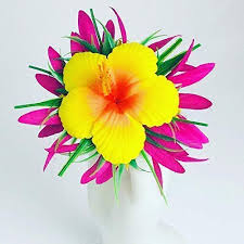 Maybe you would like to learn more about one of these? Hibiscus Hair Clip Wedding Flowers Tropical Flower Accessory Pink Hibiscus Hair Clip Pink Hibiscus Silk Flowers Hair Accessories Accessories Valresa Com