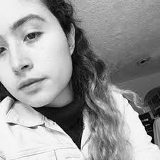 Diana Laura Angulo Saldìvar