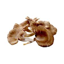 Cumpara alimente, dulciuri, bauturi, cafea, fructe. Ciuperci Pleurotus Livrare Alimente La Domiciliu Brasov