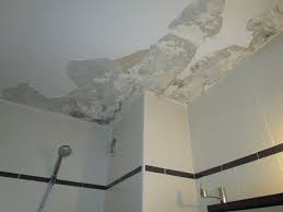 Vous venez de constater un dégât des eaux à votre domicile ou dans votre local commercial et vous ne savez pas comment vous y prendre, ni qui contacter ? Peintre Degat Des Eaux 75012 01 44 01 50 58