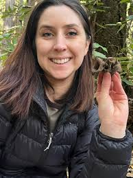 Upcoming foraging walks and workshops in NB