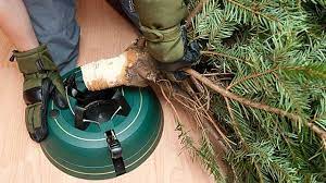 Nach dem abbauen ist vor dem aufstellen, hier erfährst du wann der christbaum aufgestellt so wird. Weihnachtsbaum Aufstellen Tipps Fur Den Christbaumstander