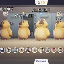 YANGOLDBIG - 猛兽派对官方论坛