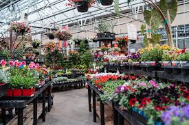 There's no place on earth like this city. Denver Co Spring Gardening Guide To Get You Ready For The Season