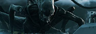 It might even be the most successful horror film franchise of all time, as, across six films, they've managed to gross $1.1 billion worldwide (and alien covenant just came out). All Alien Movies Ranked Rotten Tomatoes Movie And Tv News