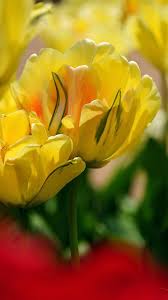 Luxurious collections of furnishing fabrics and wallpapers. Kertas Dinding Cukup Untuk Facebook Hi Wallpaper For Samsung S Duos 540x960 Wallpaper Teahub Io