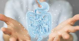 Image result for Fecal Incontinence