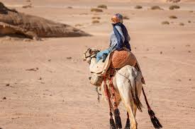 Bedouin oasis desert camp travelers' reviews, business hours, introduction, open hours. Camel Trekking And Feasting In Egypt With Bedouins Real Food Traveler