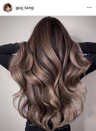 Mushroom Brown Mushroom Hair Brown Hair Color Shades Balayage Hair
