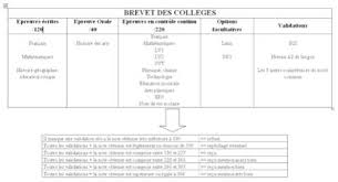 Combien de points me reste t il. Combien De Point Me Reste T Il Pour Le Brevet En Prenant En Compte L Option Latin 3eme Autre