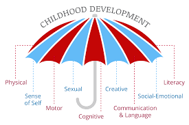 Image result for Sexual Development