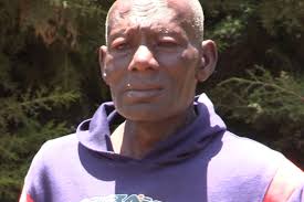 Woman dies, two in hospital after bee attack