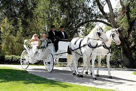 Pin On Dream Wedding