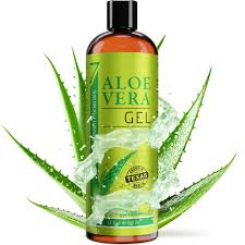 Image result for Aloe