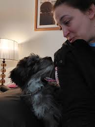 Profile for Green Meadow Pet Care