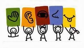 Da un lato specificano l'oggetto posseduto, dall'altro precisano la persona che come si vede dalla tabella, i possessivi hanno quattro forme ben distinte (una per il maschile, una per il femminile, una per il singolare e una per il plurale). Aggettivi Per I 5 Sensi Vista Olfatto Udito Gusto Tatto Scuolissima Com