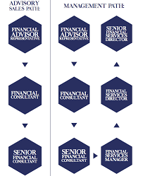 As a financial planner, you will help individual clients. Career With Apex Apex Wealth Management
