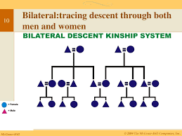 Ppt Families Kinship And Descent Powerpoint Presentation