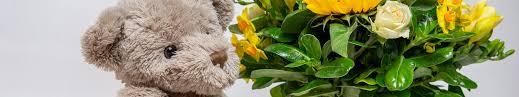 Todayflowerdelivery offers flower delivery throughout the whole country. New Baby Flowers Gifts Same Day Auckland Florist Delivery